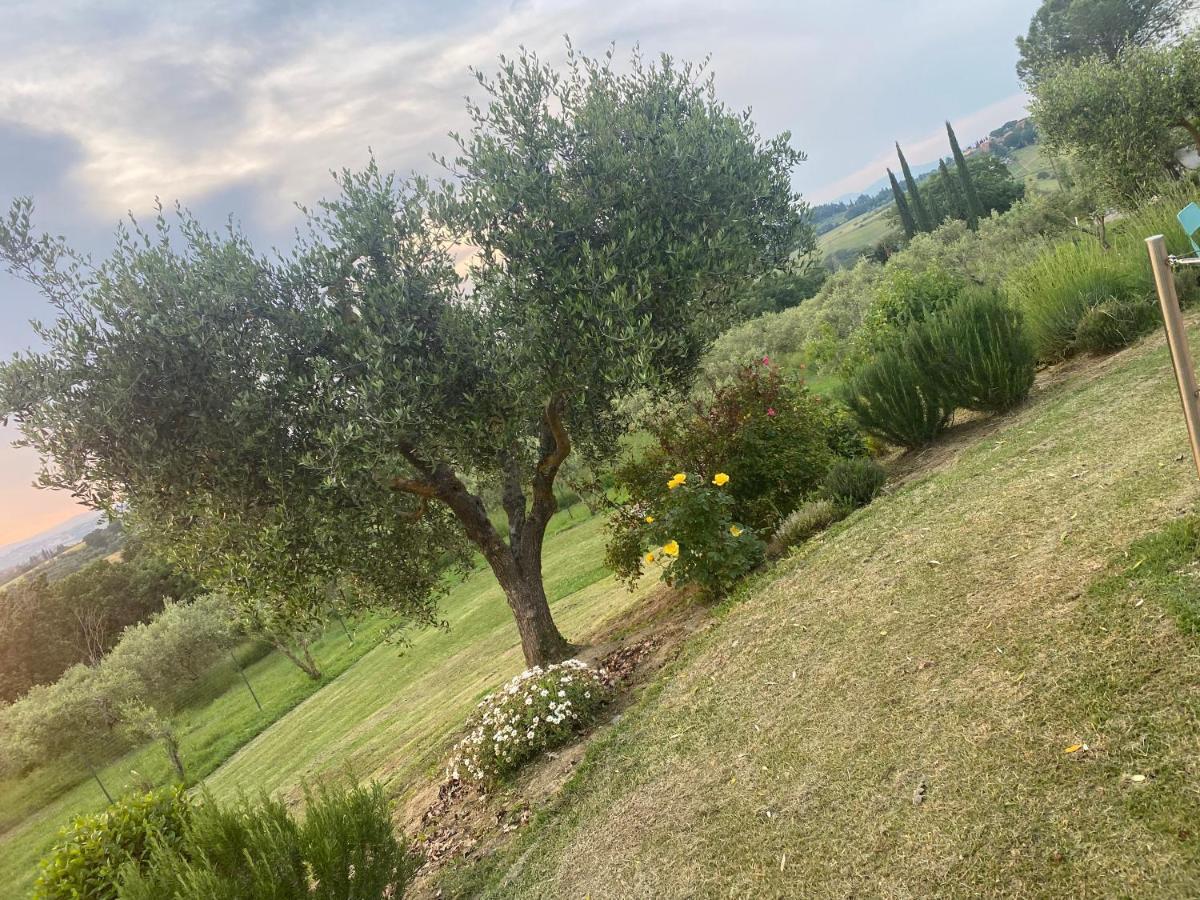 Agriturismo Palazzo Val Del Sasso Villastrada  Eksteriør billede