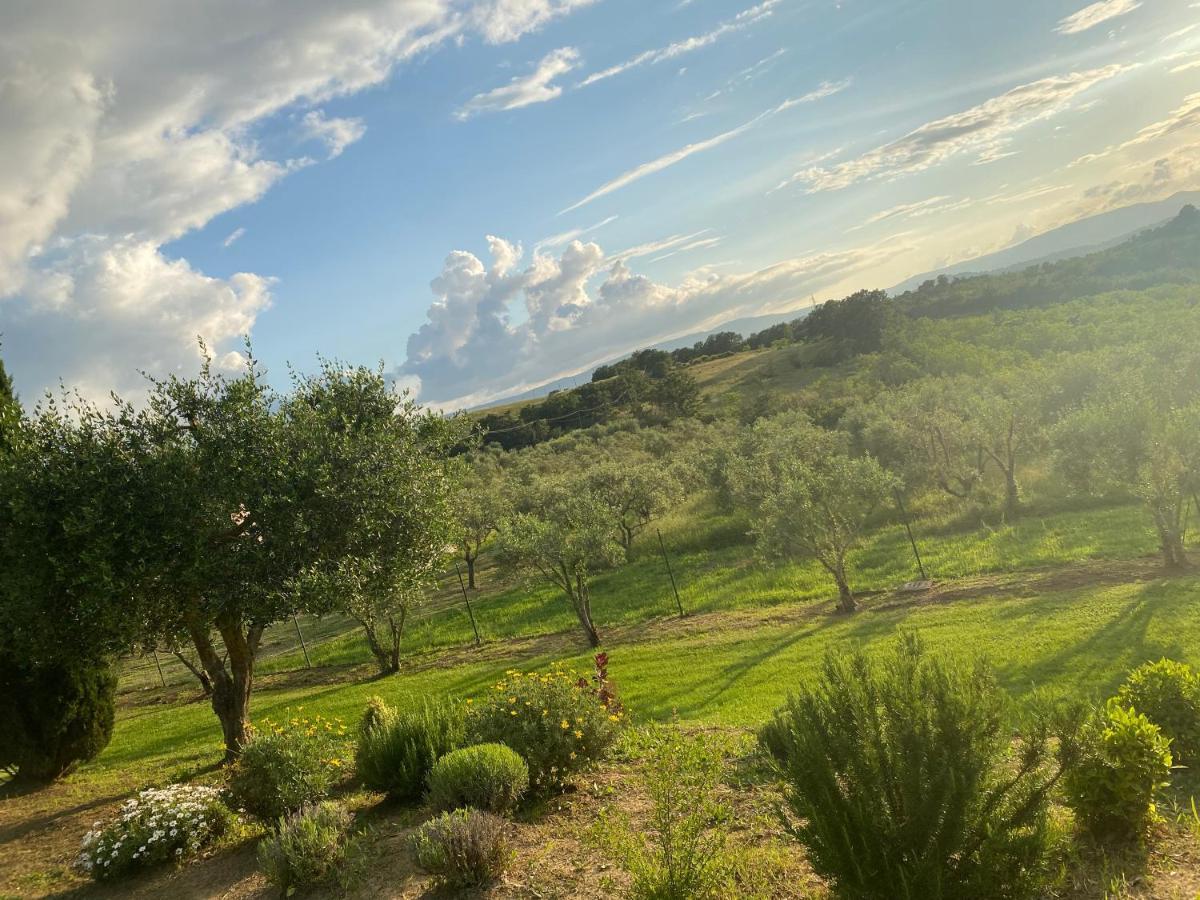 Agriturismo Palazzo Val Del Sasso Villastrada  Eksteriør billede